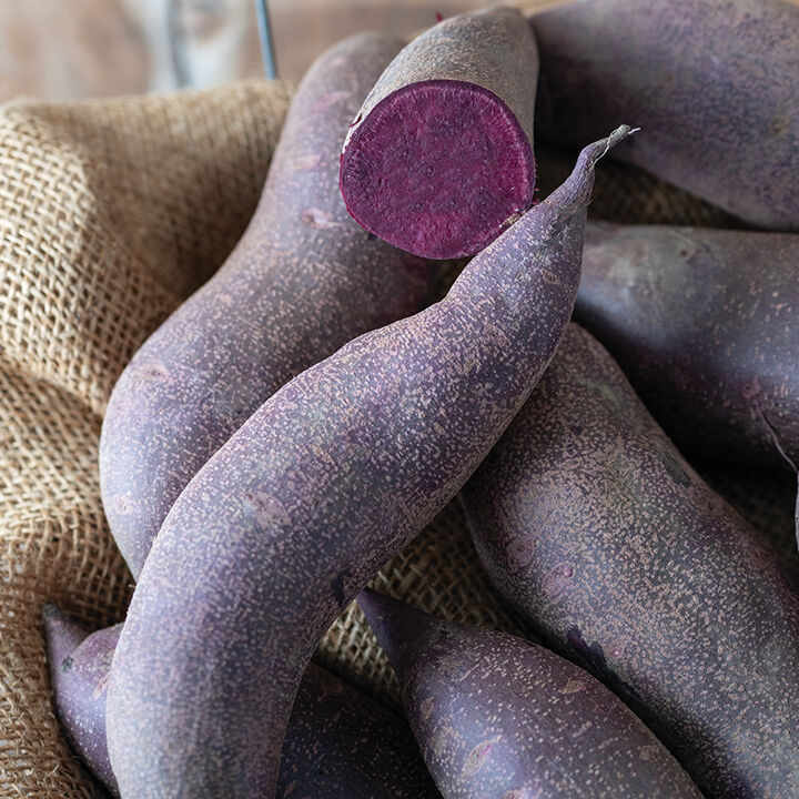 Purple Majesty Organic Sweet Potato Slips